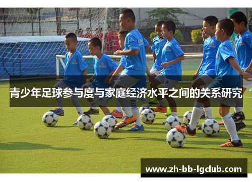 青少年足球参与度与家庭经济水平之间的关系研究 青少年足球参与度与家庭经济水平之间的关系研究